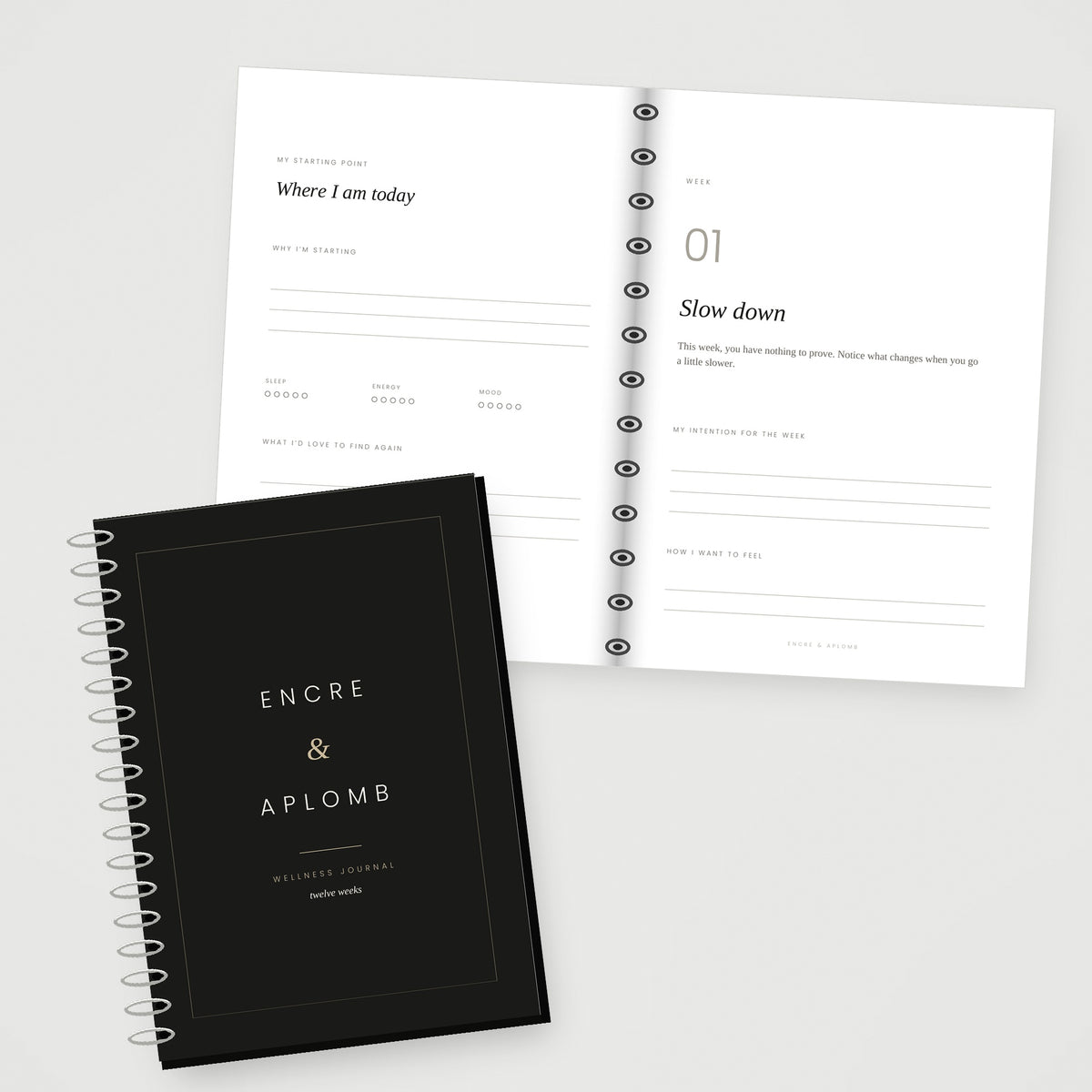 Wellness Journal — 12 Weeks